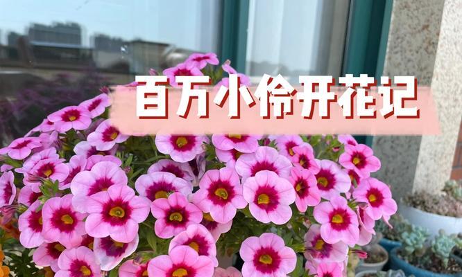以伶倌经营记技能攻略（成为一流的伶倌经营家）