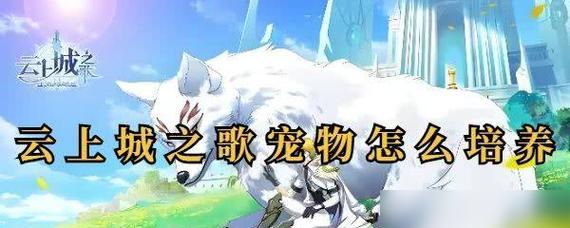 《云上城之歌》射手加点攻略（射箭成精，战无不胜！提升射手战斗力的正确加点方法！）