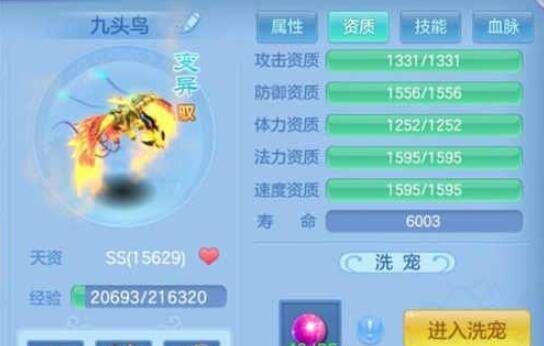 《超强攻略！神武65级全面解析》（带你玩转神武65级，成就传奇战士）
