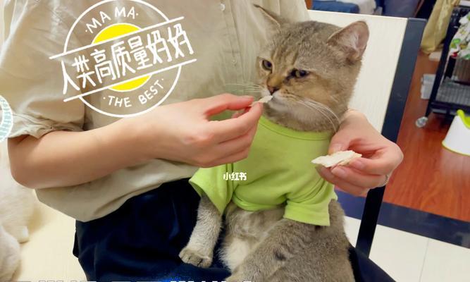 以病秧子攻略方法——让孩子康复更有效（掌握正确的康复技巧，助力病秧子迅速恢复）