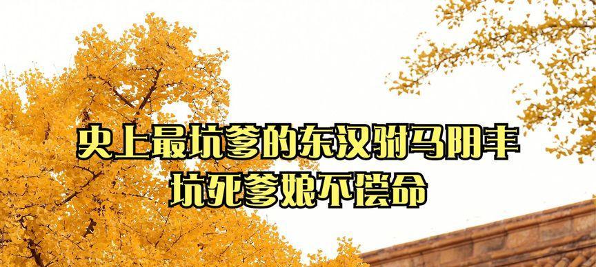 《坑死不偿命攻略大全》（揭秘游戏中的陷阱和解决方法）