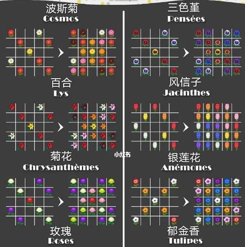 《天天种花手游攻略——花开盛景细致呈现》（从零开始成为花园大师，悠享种花乐趣）